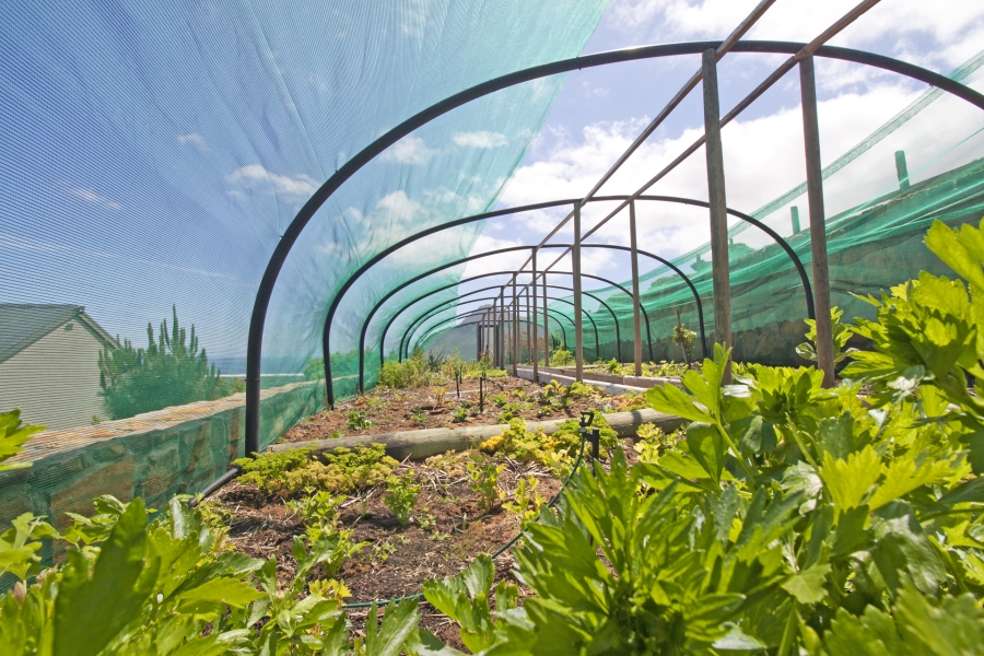 To Let 5 Bedroom Property for Rent in San Michel Western Cape